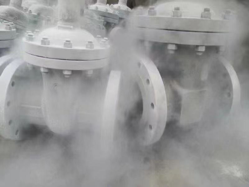 cryogenic valve2